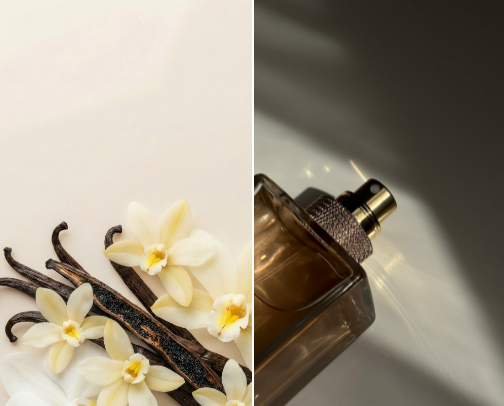 My Favorite Vanilla & Cozy Perfumes 🍨🧁🍦🍰 cover photo collage