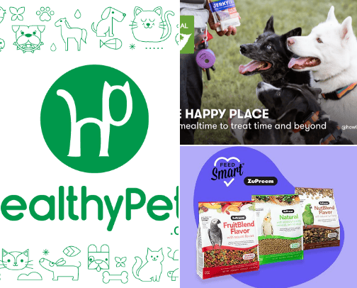 Websites to shop pet products cover photo collage