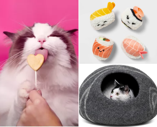 Cat Owner Essentials cover photo collage
