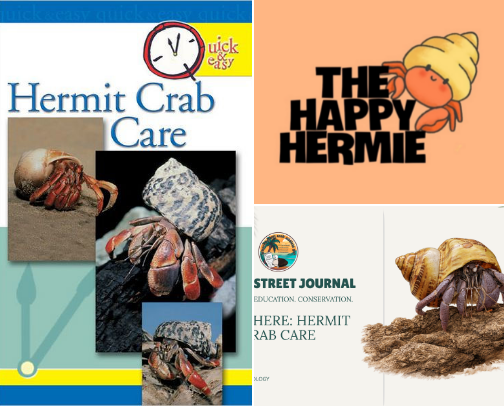 Hermit Crab Guide cover photo collage