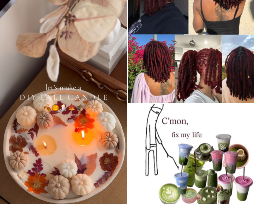 Monthly (or weekly) Fixations cover photo collage