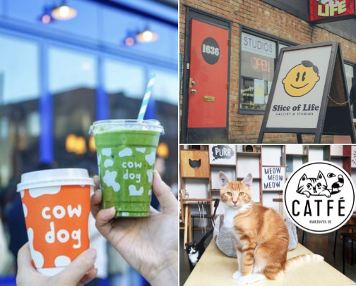 Your guide to get through a Vancouver Fall cover photo collage