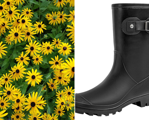 Flower gardens and Landscaping from seed 🌸 cover photo collage