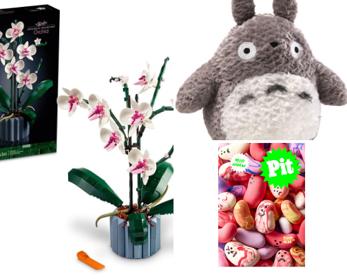 Bookshelf Must-Haves Visual Minds cover photo collage