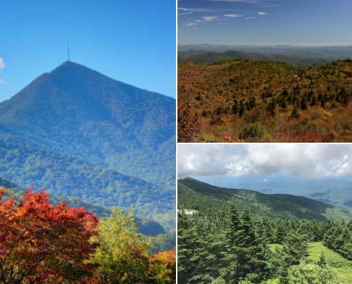 Asheville NC Adventures, Food, Hikes. cover photo collage