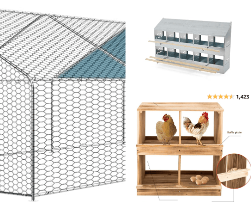 Top Picks for Happy Hens: Popular Products for Chicken Keepers and Coops cover photo collage
