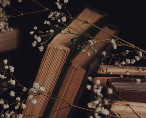 My favorite books to read cover photo collage