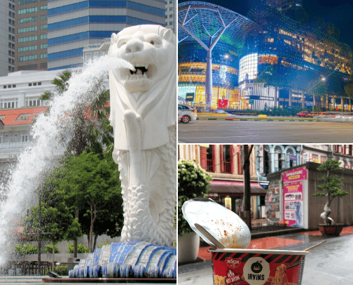 Singapore Dump cover photo collage