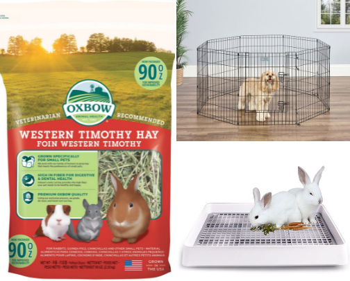 Spoiled rabbits cover photo collage