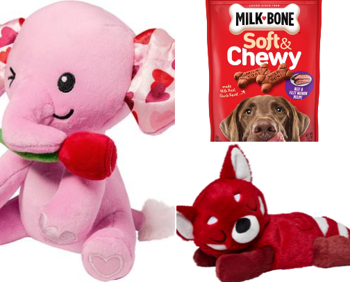 Best Dog Treats & Toys for Play, Training & Rewards cover photo collage