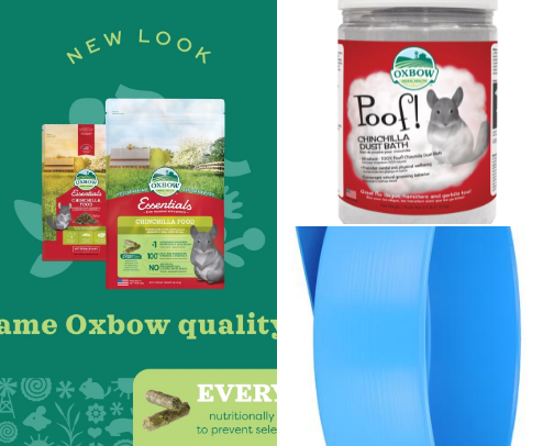 Chinchilla care cover photo collage