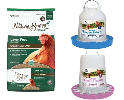 Chicken Care cover photo collage