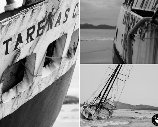 Essential Wall Art for Your Home – Fine Art Photography Prints 📸🖼️ cover photo collage