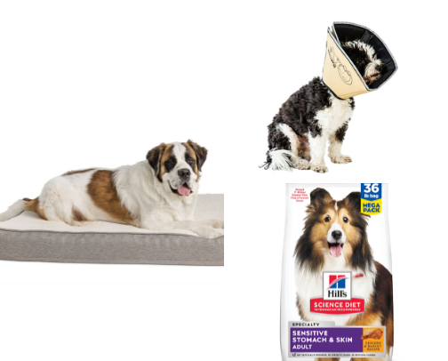 All things Golden Retrievers 🧡 cover photo collage