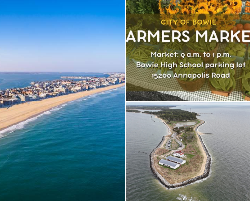 Top DMV recommendations cover photo collage