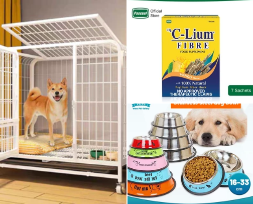 Dogs belongings cover photo collage