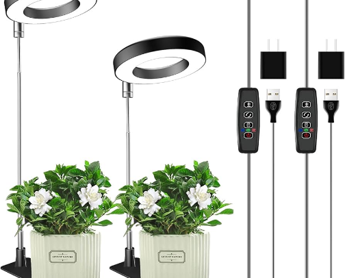 Plants & More for 2026 cover photo collage