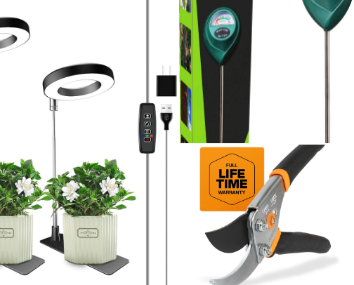 Plants & More for 2026 cover photo collage