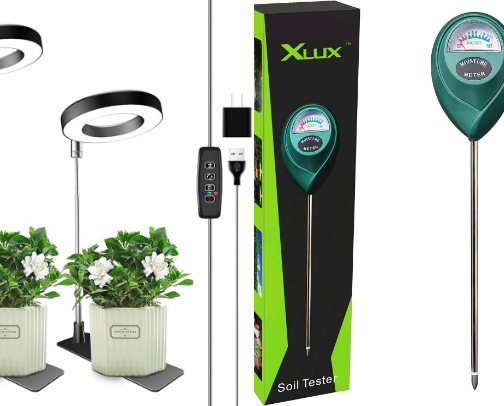 Plants & More for 2026 cover photo collage