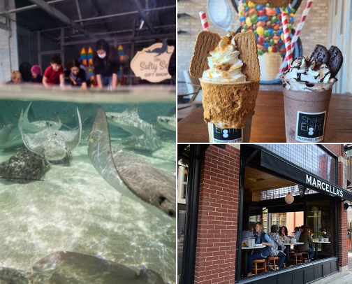 Visiting Columbus cover photo collage