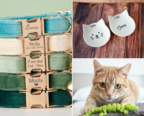 Purrfect Cat Accessories For You and Your Furry Friends cover photo collage