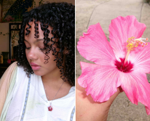 Tame The Mane: Top curly hair products cover photo collage