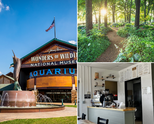 To Do in 🌻Springfield🌻 Missouri! cover photo collage