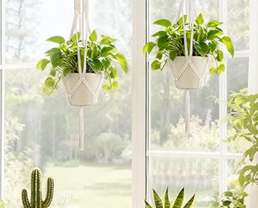 Indestructible Greenery & Modern Pots for Beginners cover photo collage