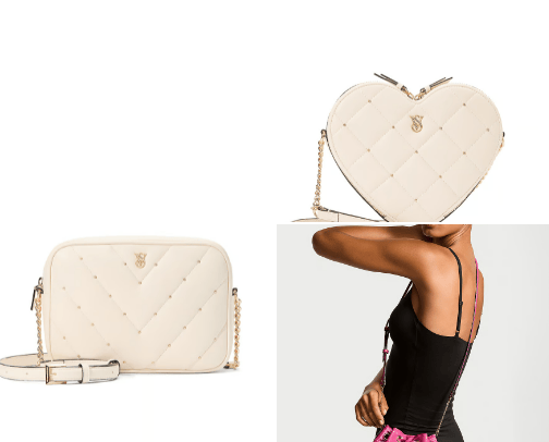 VICTORIA'S SECRET bags cover photo collage