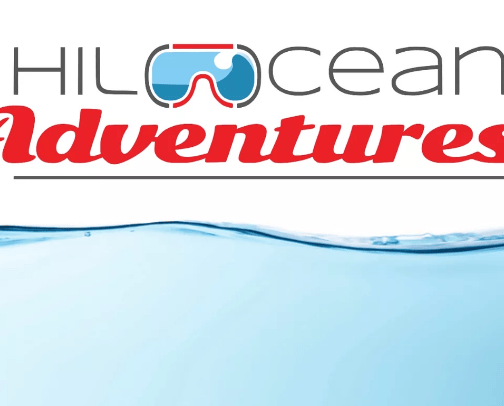 Ocean Tours/Adventures🌊🤿 cover photo collage