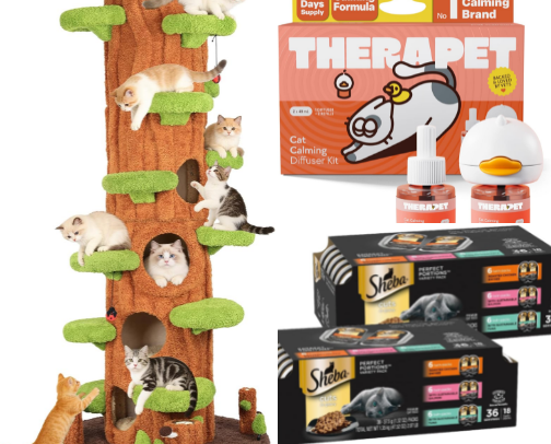 😻Calling All Cat/Kitten Parents!🐈🐈‍⬛ cover photo collage