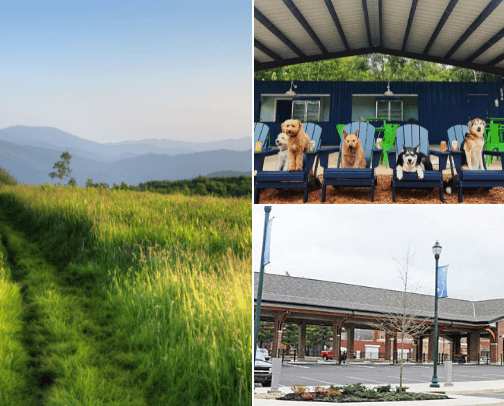 Things to Do Near Johnson City, Tennessee cover photo collage
