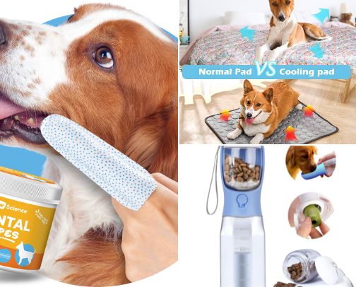 Dog Mama Must-Haves 🐶 cover photo collage