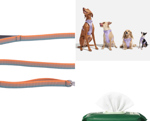 Happy Tails Start Here: My Go-To Dog Must-Haves 🐾🌸 cover photo collage