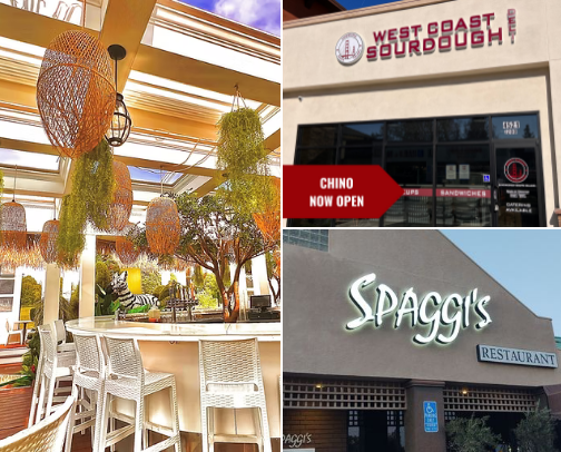 My top Restaurant recs cover photo collage