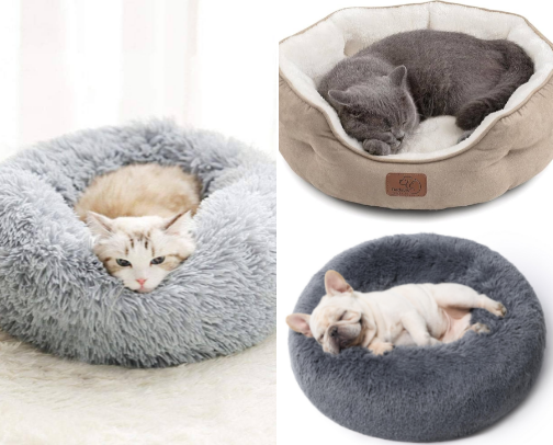 Mattress recommendations for your pet's comfortable sleep cover photo collage