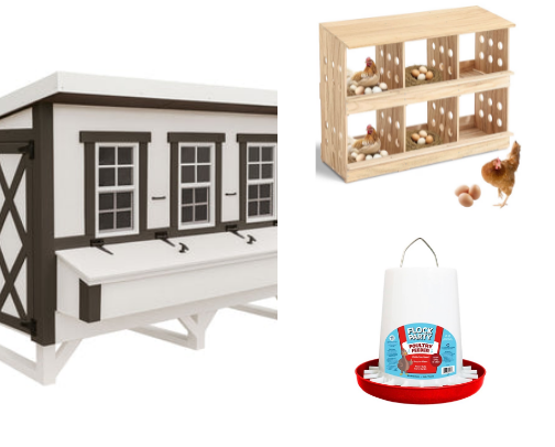 Chicken coop must haves cover photo collage