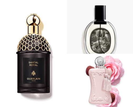 Scents That Flirt Back cover photo collage