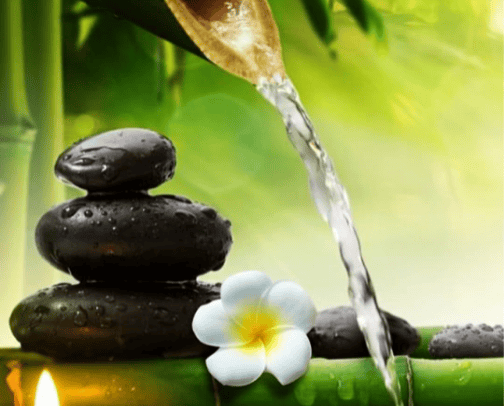 Mindful Living cover photo collage