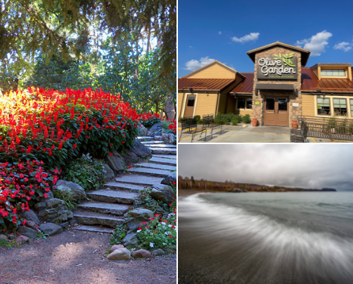 A visit to MN you won’t regret 🤯👀 cover photo collage