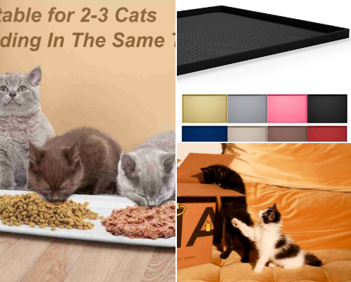 Cats are so unique, specific, and can be moody... they still deserve all the love! cover photo collage