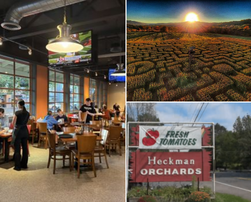 Places to visit in Pennsylvania cover photo collage