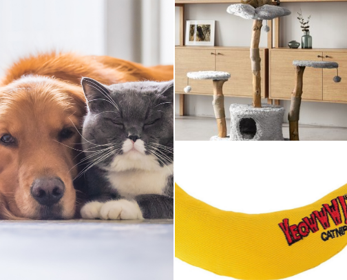Feline Good 🐈‍⬛ cover photo collage
