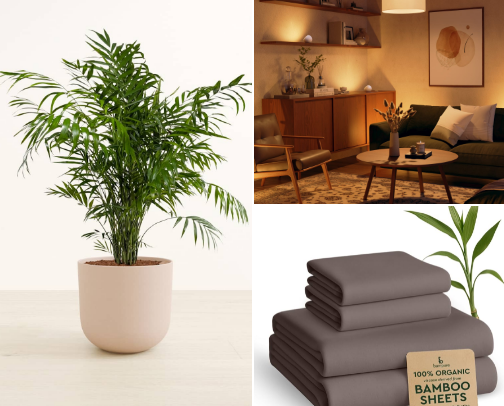 Easy Home Finds That Make My Space Feel Cozy cover photo collage