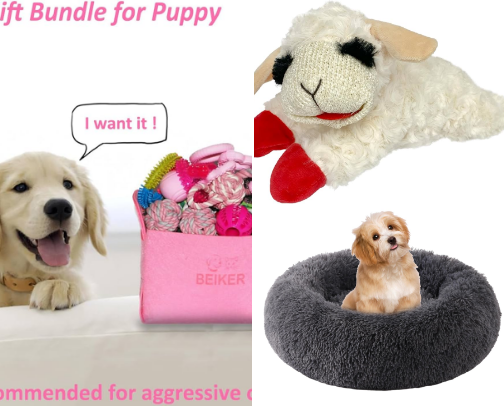 Pet Stuff cover photo collage