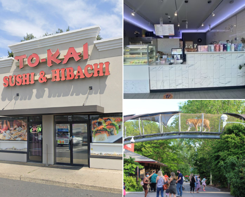 My top Philadelphia recs cover photo collage