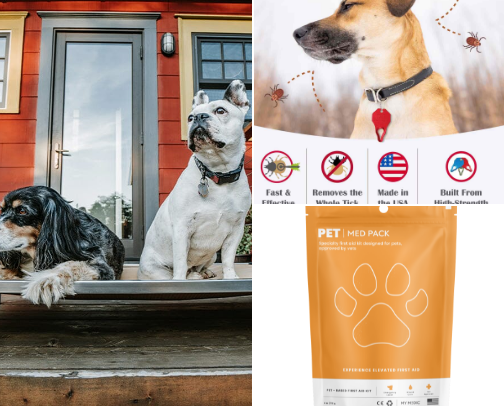 camping essentials for dog owners cover photo collage