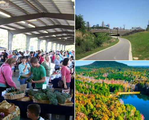 Charlotte Local Says… 🌇🏃‍♀️🌮🍔🥗 cover photo collage
