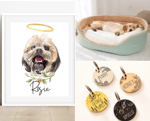 Pets🐾 cover photo collage