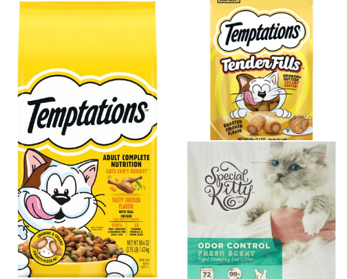 All things cat cover photo collage